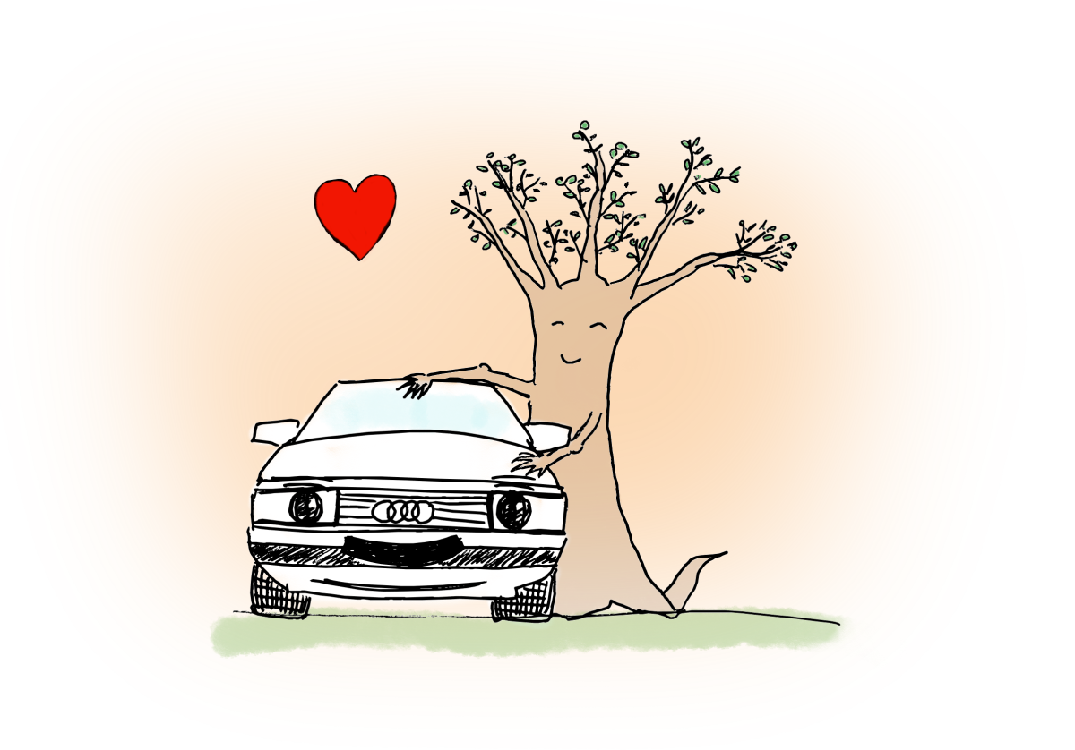 Fête de mariage de Sarah et David